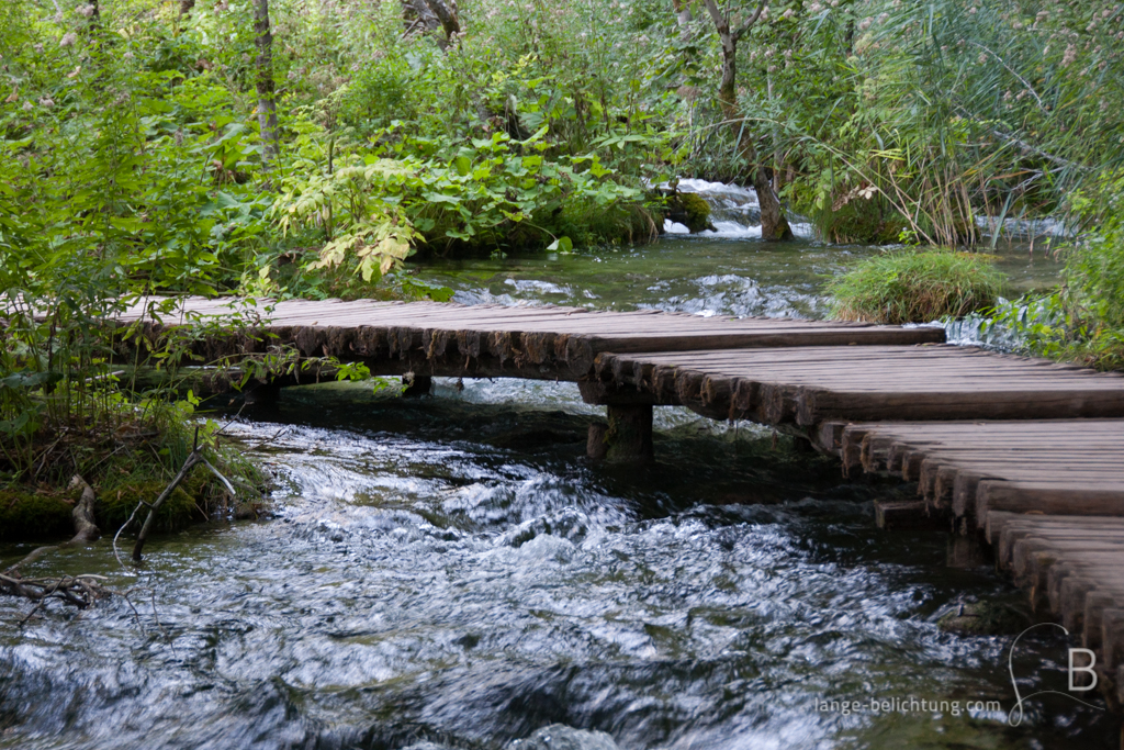 Über einen kleinen Bachlauf führt ein Holzweg. Der Fluss fließt direkt durch den Wald.