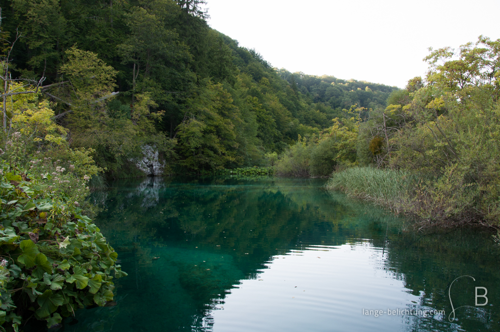 Ein stiller Bergsee ergießt sich in den Bergen der Plitvicer Seen. Umgeben ist das türkise klare Wasser von grünen Bäumen, Sträuchern und Gräsern.