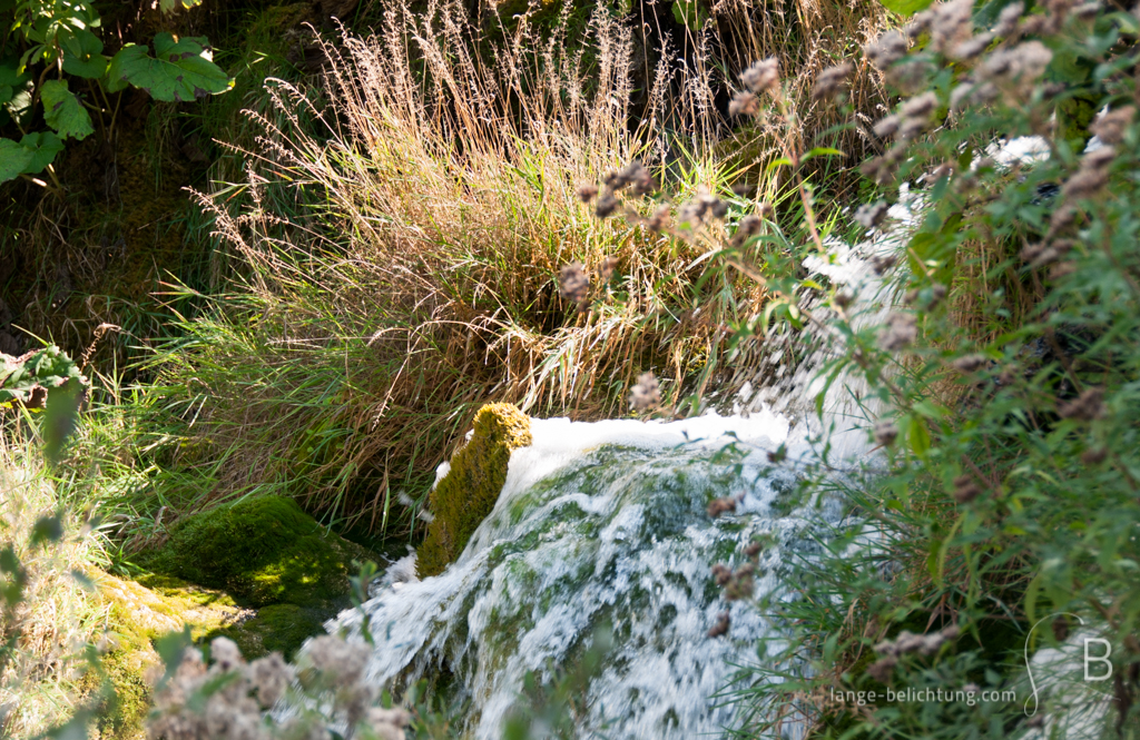 Ein kleiner Wasserfall ergießt sich mitten im grünen der Plitvitcer Seen. Der Wasserfall ist umgeben von Gräsern und anderen Pflazen. Durch das fließende Wasser schimmert Moos durrch.