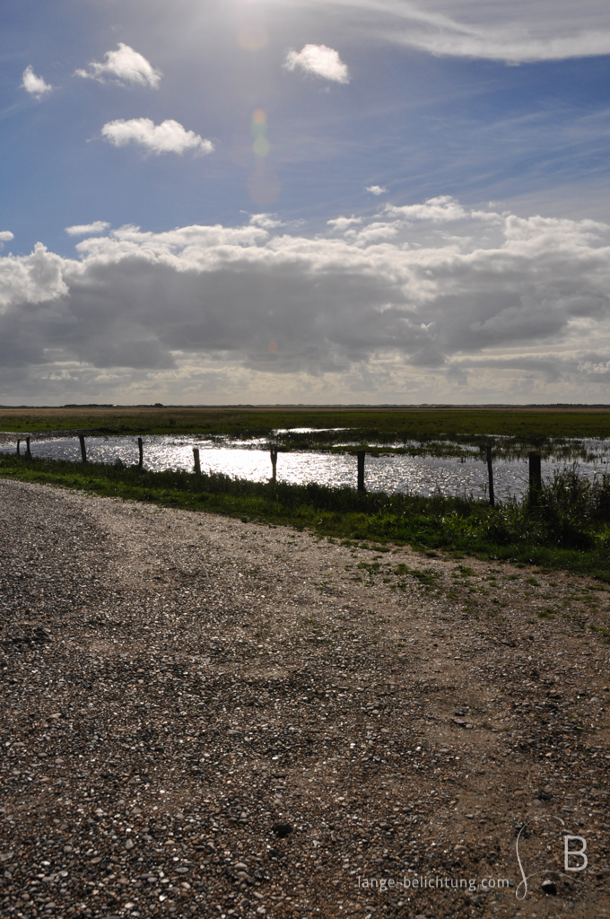 Bis zum Horizont erstreckt sich eine Weide. Im Vordergrund ein Schotterweg von dem das Foto aufgenommen wurde. Ein paar Wolken am Himmel geben den Blick auf die Sonne frei. Durch die Gegenlichtaufnahme wird eine Vignettierung und eine Lisenreflexion erzeugt.
