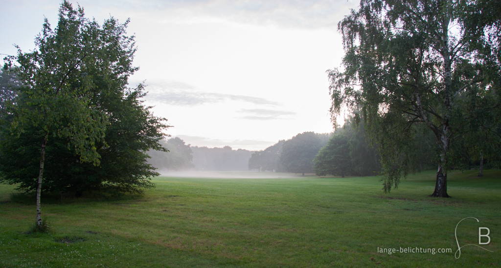 Nach einem Sommerregen steigt der Nebel in einem Park mitten in Berlin auf.