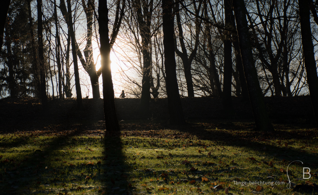 Durch von der Sonne angestrahlte Bäume läuft eine Joggerin. Die Sonne ist auf dem Bild direkt von einem Baum verdeckt. Das erzeugt ein interessantes Licht- und Schattenspiel. Im Vordergrund sieht man eine grüne Wiese.