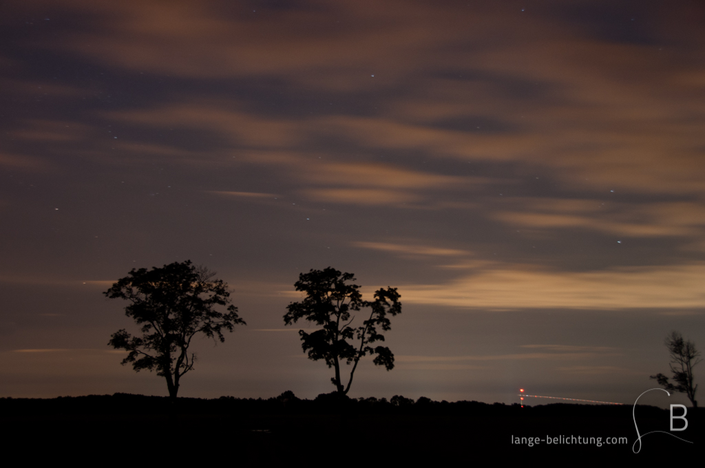 Auf einem Feld stehen zwei Bäume. Im Hintergrund ist der rot schimmernde Himmel der Großstadt und der Fernsehturm zu erkennen.