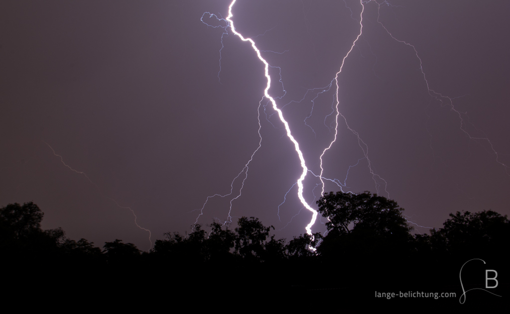 Bei einem Gewitter in Berlin zucken mehrere Blitze durch den Nachthimmel. Im Vordergrund sieht man die Silhouette von Bäumen eines angrenzenden Parks.